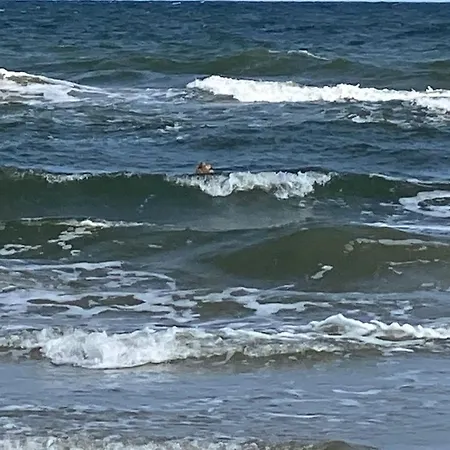 Fw Meyer 31 3 Appartamento