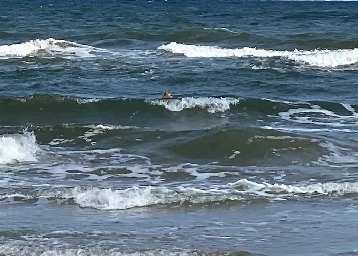 Fw Meyer 31 3 شقة