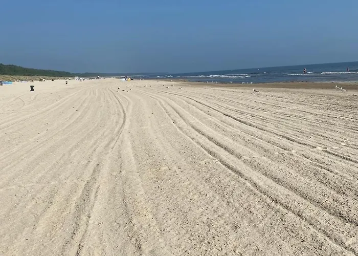 Fw Meyer 31 3 Karlshagen